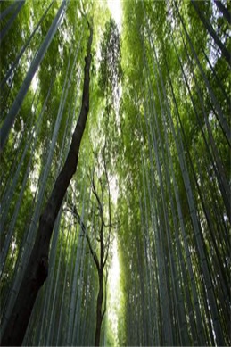 建国三部曲的观看顺序-想按时间线看建国三部曲该从哪部开始