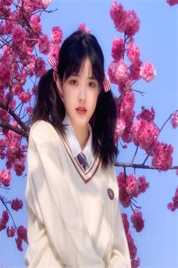 老炮儿bt页面内容-信息核验与说明
