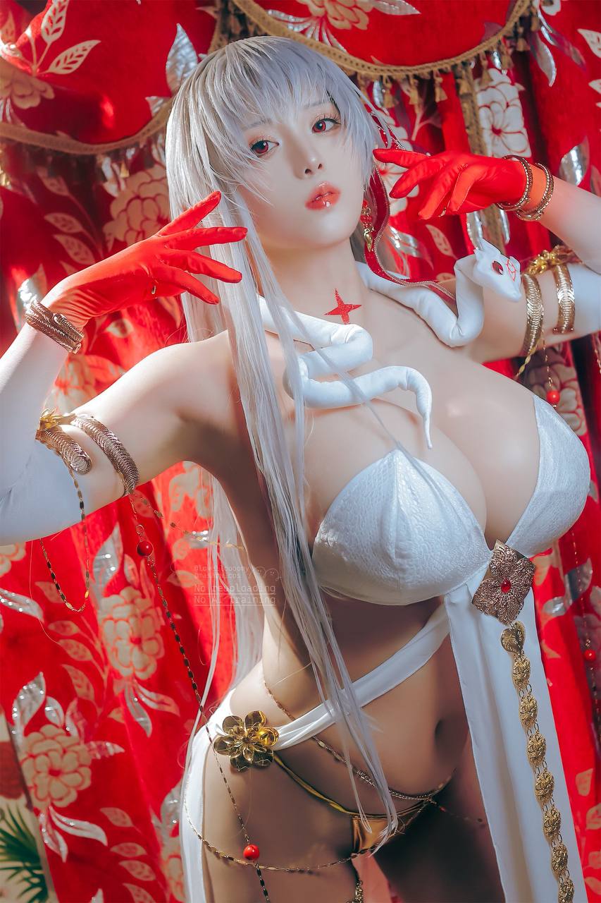 星游记-动画系列有几部