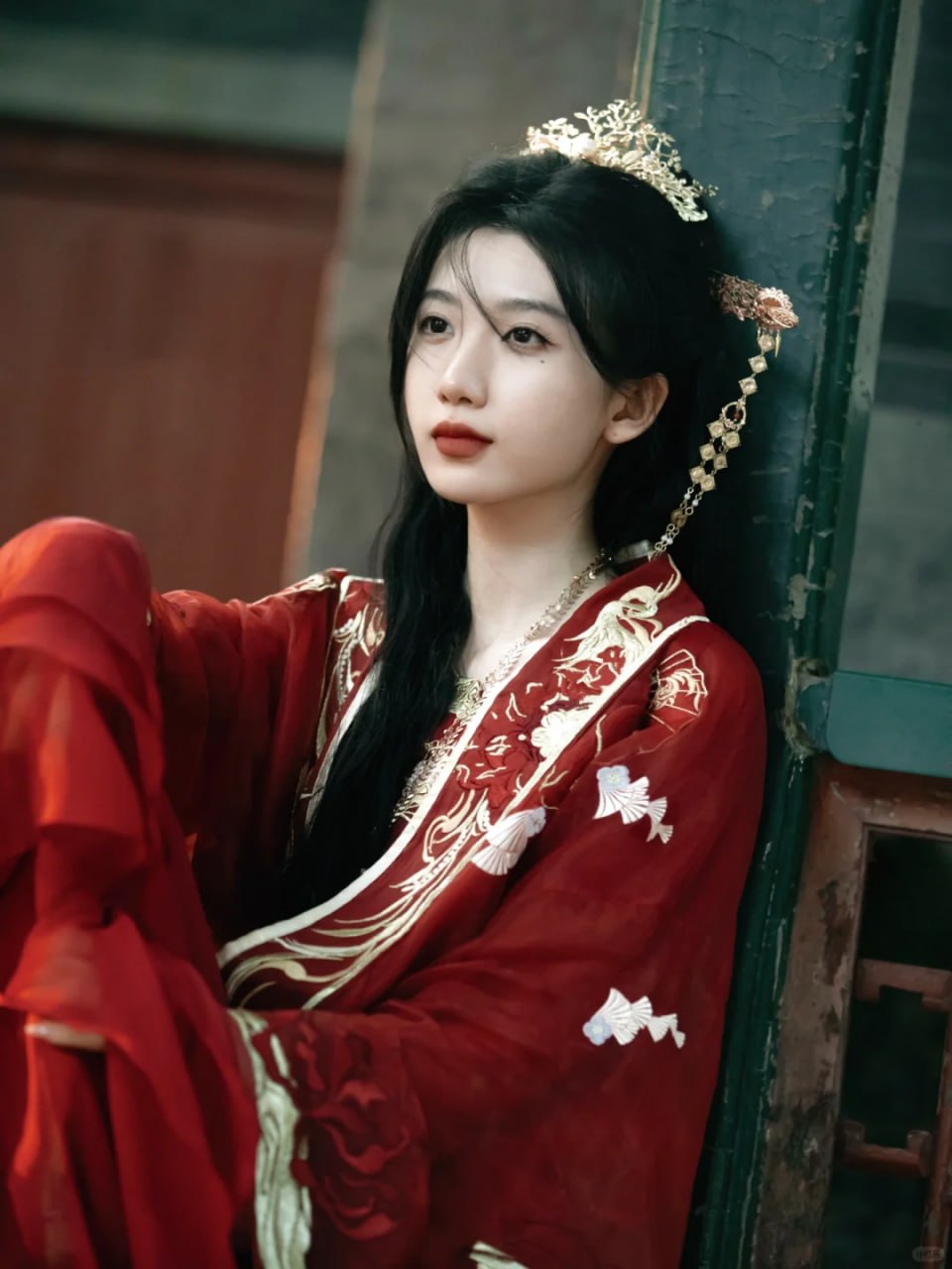 小贝-想养好这只叫小贝的狗