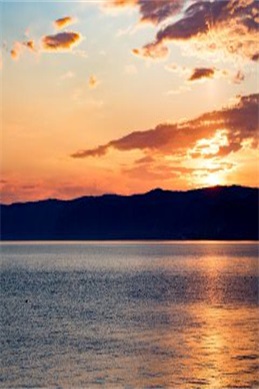 天师斗僵尸郑中基在线观看-确认电影信息再找资源