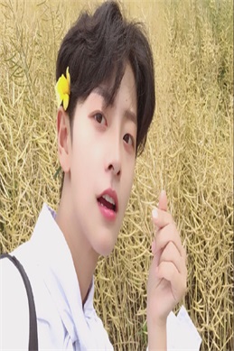 机动战士高达第08ms小队-高达08MS小队为何被称为最真实的战场故事
